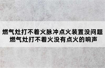 燃气灶打不着火脉冲点火装置没问题 燃气灶打不着火没有点火的响声